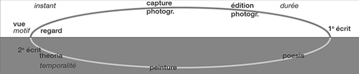 Prooemium methodicus b