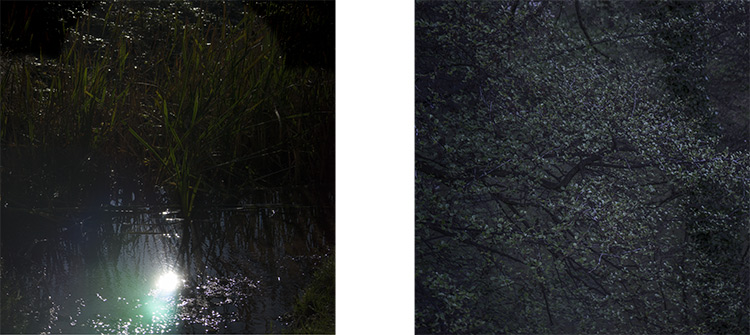 Christian Perret, Autem descendit meridiem 1