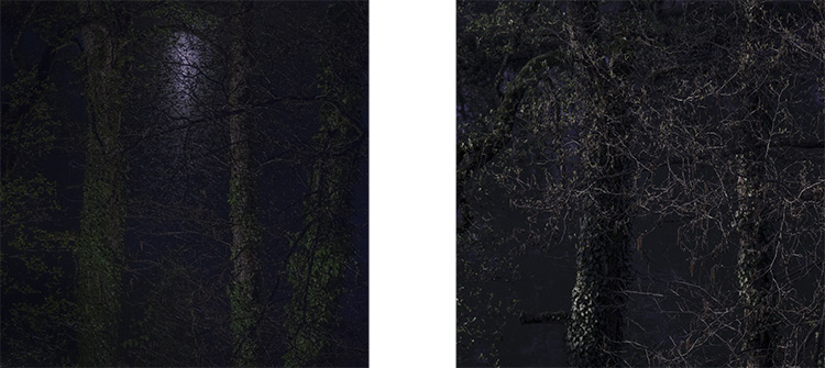 Christian Perret, Autem descendit meridiem 2