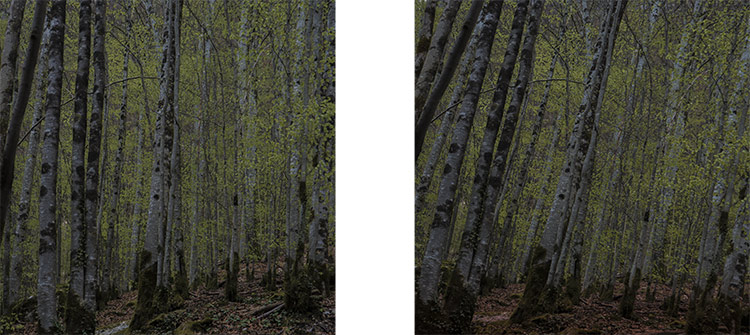 Christian Perret, Locus subversum 2