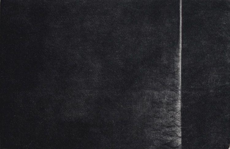 Christian Perret, Diaprée 1, gravure