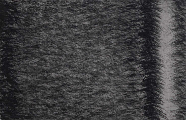 Christian Perret, Diaprée 2, gravure