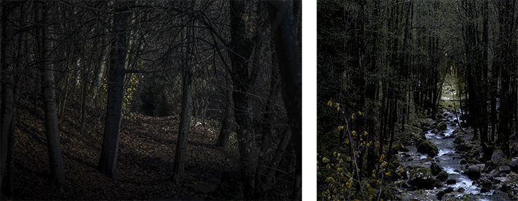 Christian Perret, bocca del bosco