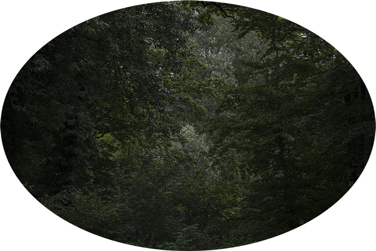 Christian Perret, bosco delle ninfe 1
