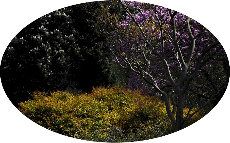 Christian Perret, bosco sacro 2