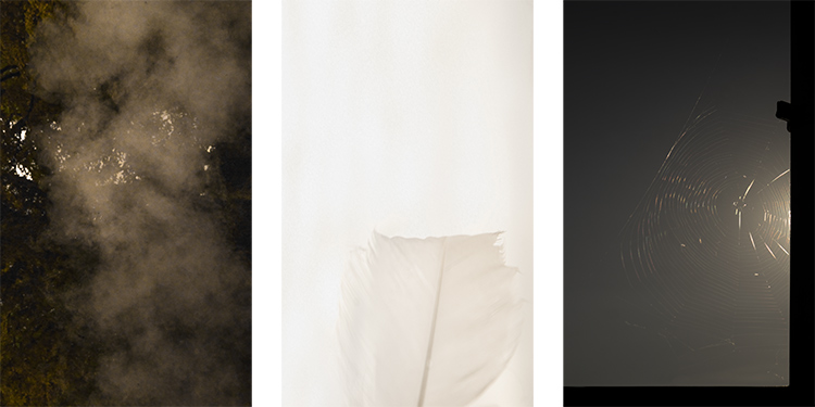 Christian Perret, Io, Leda e Aracne